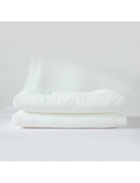 Pernă catifea (Velvet) – 50cm X 70cm